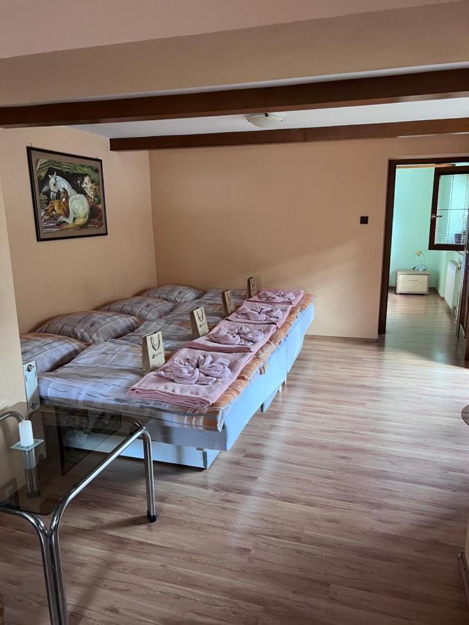 Dafinka Apartment Banska Bystrica Ngoại thất bức ảnh